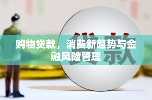 兴县购物贷款，消费新趋势与金融风险管理