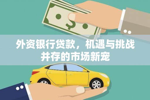 隆回外资银行贷款，机遇与挑战并存的市场新宠