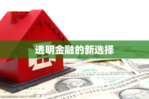 白山透明金融的新选择