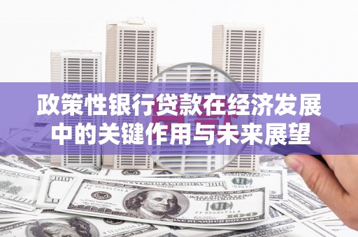 新营政策性银行贷款在经济发展中的关键作用与未来展望