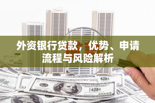 和平外资银行贷款，优势、申请流程与风险解析