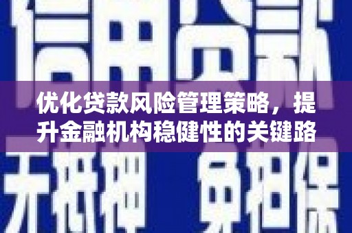 郸城优化贷款风险管理策略，提升金融机构稳健性的关键路径