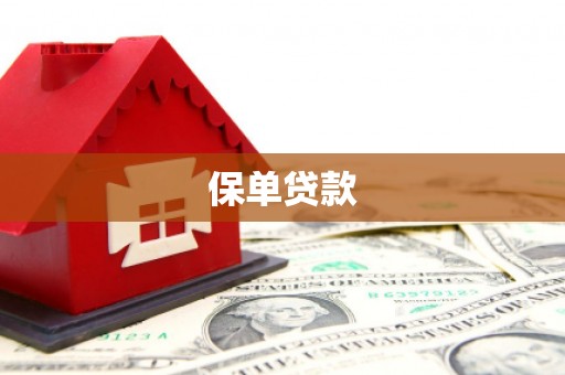邵阳县保单贷款
