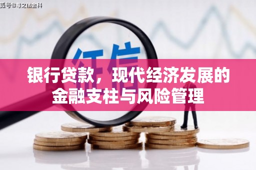 海兴银行贷款，现代经济发展的金融支柱与风险管理