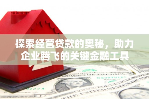 清新探索经营贷款的奥秘，助力企业腾飞的关键金融工具