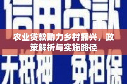 沙洋农业贷款助力乡村振兴，政策解析与实施路径