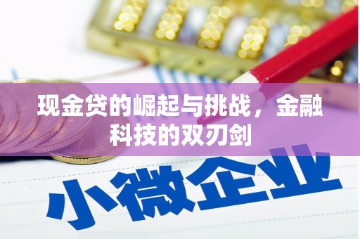 漳州现金贷的崛起与挑战，金融科技的双刃剑