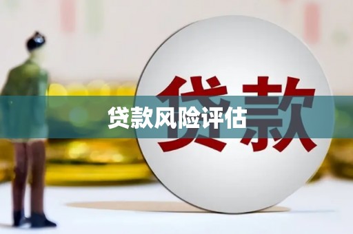 铁山贷款风险评估