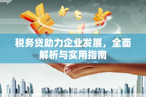 阆中税务贷助力企业发展，全面解析与实用指南