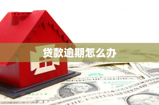 兴宁贷款逾期怎么办