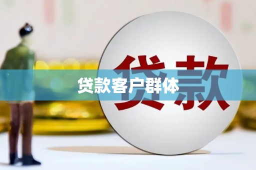 芦洲贷款客户群体