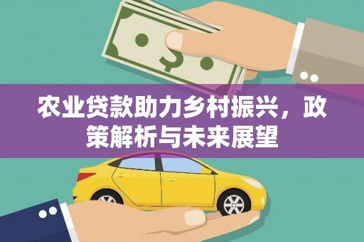 卓溪农业贷款助力乡村振兴，政策解析与未来展望