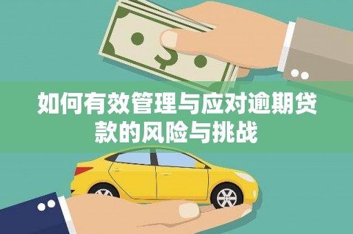 长葛如何有效管理与应对逾期贷款的风险与挑战