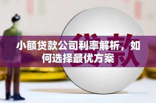 威宁小额贷款公司利率解析，如何选择最优方案