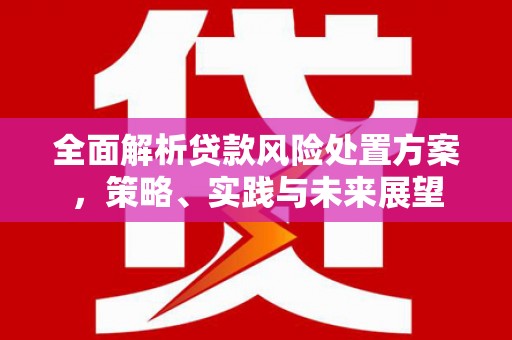 青阳全面解析贷款风险处置方案，策略、实践与未来展望