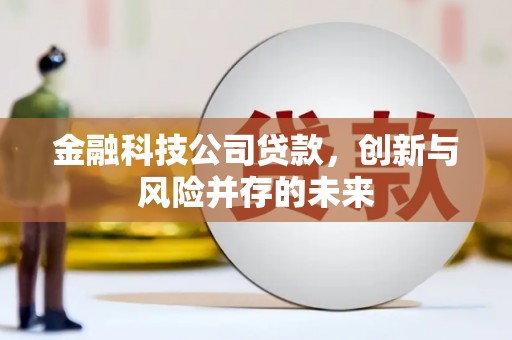 红安金融科技公司贷款，创新与风险并存的未来