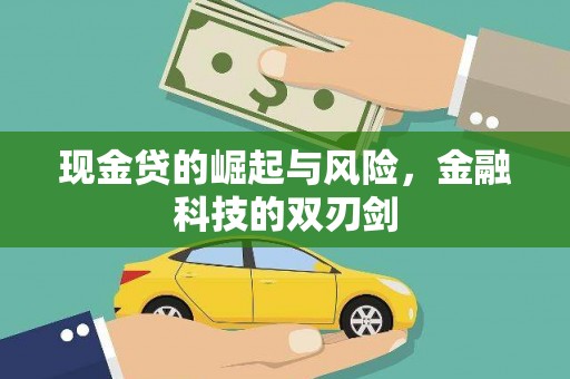 安康现金贷的崛起与风险，金融科技的双刃剑