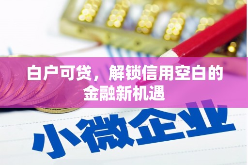 天元白户可贷，解锁信用空白的金融新机遇