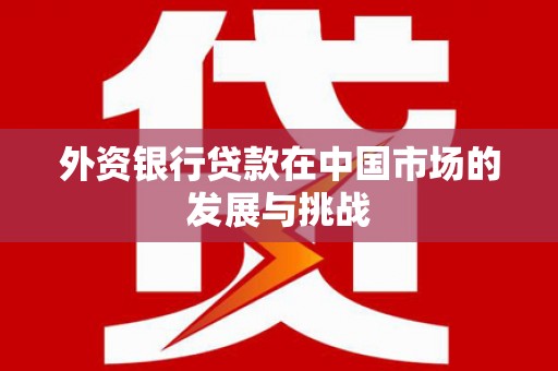 新北外资银行贷款在中国市场的发展与挑战