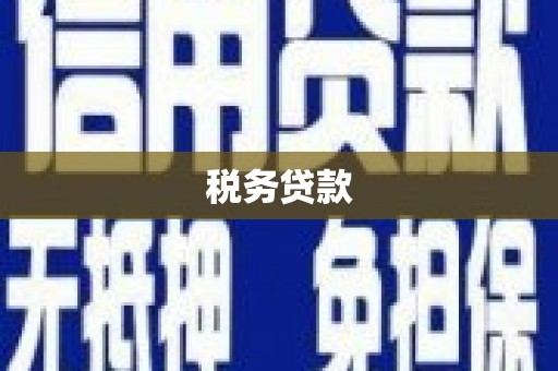 霍山税务贷款