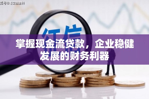 府谷掌握现金流贷款，企业稳健发展的财务利器