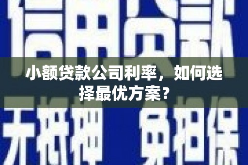 西屿小额贷款公司利率，如何选择最优方案？