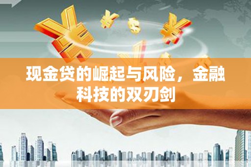 港南现金贷的崛起与风险，金融科技的双刃剑