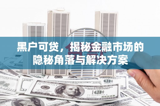 林园黑户可贷，揭秘金融市场的隐秘角落与解决方案