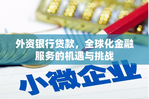 南海外资银行贷款，全球化金融服务的机遇与挑战