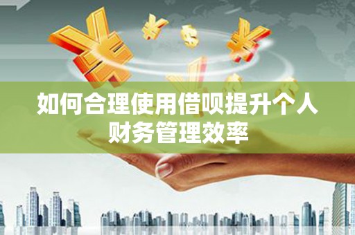 集美如何合理使用借呗提升个人财务管理效率