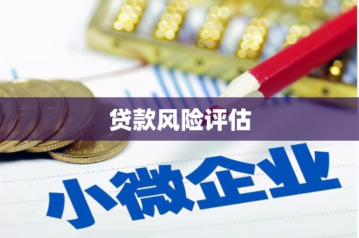 西夏贷款风险评估
