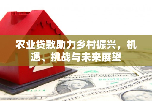 新河农业贷款助力乡村振兴，机遇、挑战与未来展望
