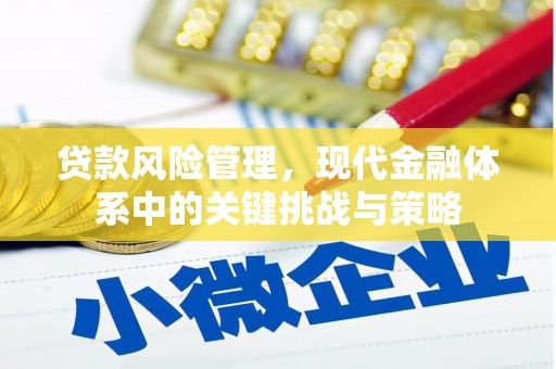 丽水贷款风险管理，现代金融体系中的关键挑战与策略