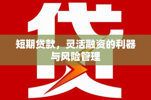 乐东短期贷款，灵活融资的利器与风险管理