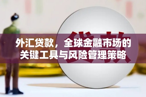 中和外汇贷款，全球金融市场的关键工具与风险管理策略
