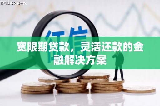 宏伟宽限期贷款，灵活还款的金融解决方案