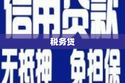 阳春税务贷