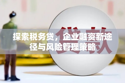 宜君探索税务贷，企业融资新途径与风险管理策略