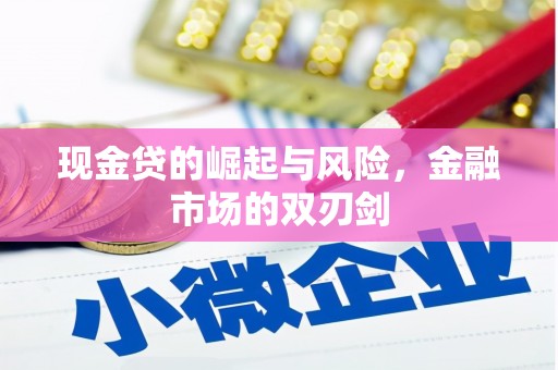 大邑现金贷的崛起与风险，金融市场的双刃剑