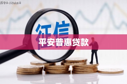 嘉黎平安普惠贷款