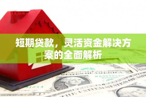 保税港区短期贷款，灵活资金解决方案的全面解析