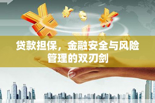 秀山贷款担保，金融安全与风险管理的双刃剑