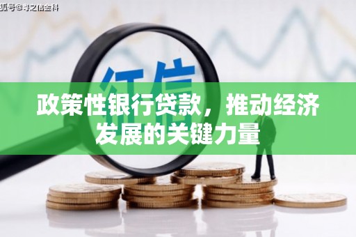 汉源政策性银行贷款，推动经济发展的关键力量