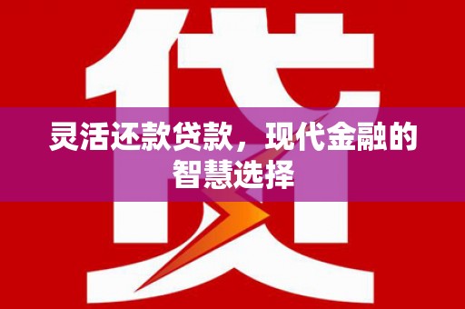 阜南灵活还款贷款，现代金融的智慧选择