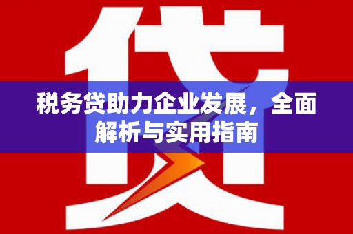 平桂税务贷助力企业发展，全面解析与实用指南