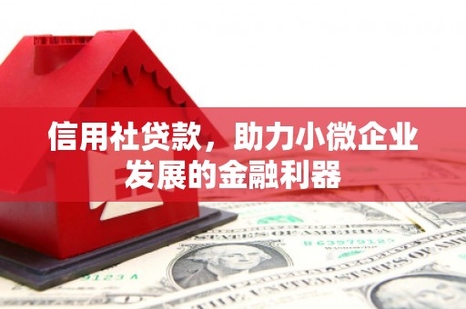 高唐信用社贷款，助力小微企业发展的金融利器