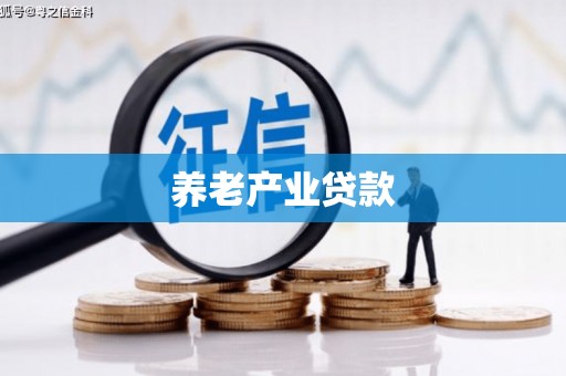 贵州养老产业贷款