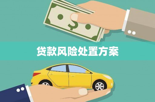 天祝贷款风险处置方案