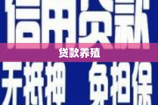 永善贷款养殖
