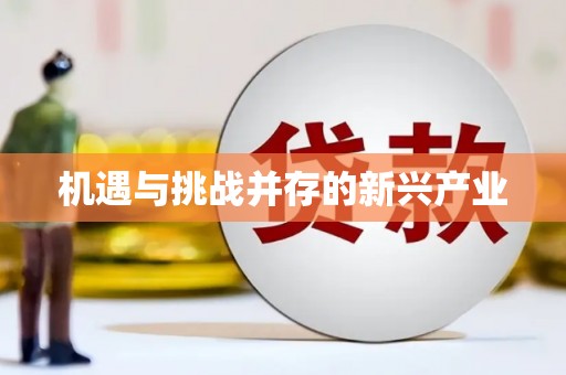 宽甸机遇与挑战并存的新兴产业